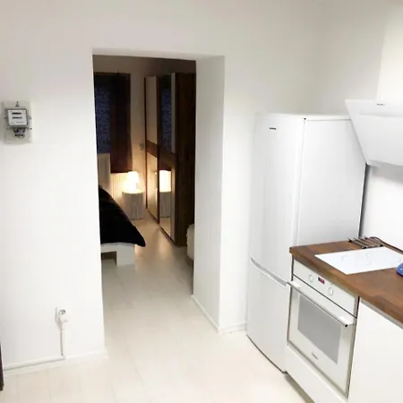 Studio Confort 2 * 부쿠레슈티